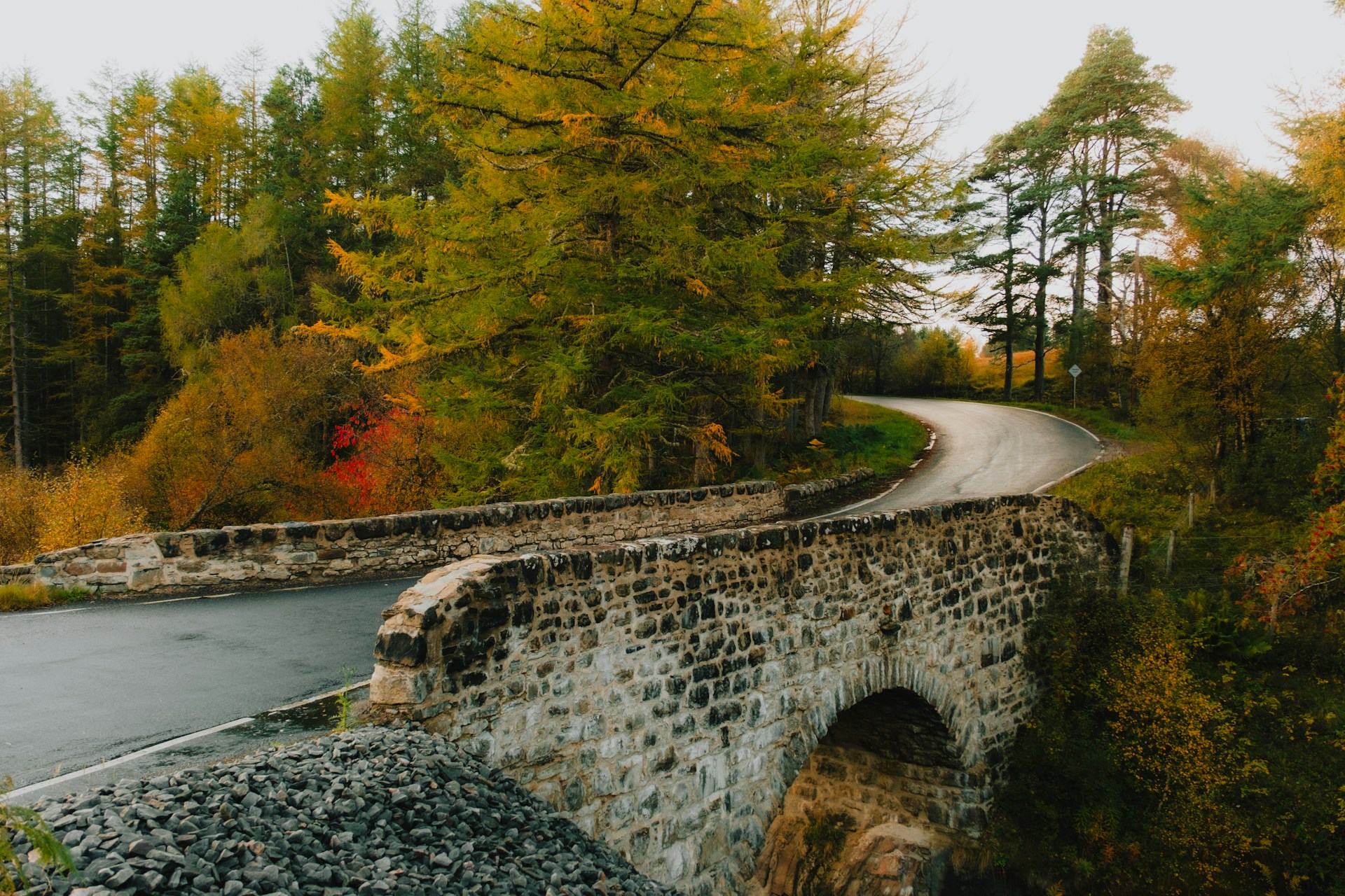 What Career Fits You? A Personality Type Test Could Help